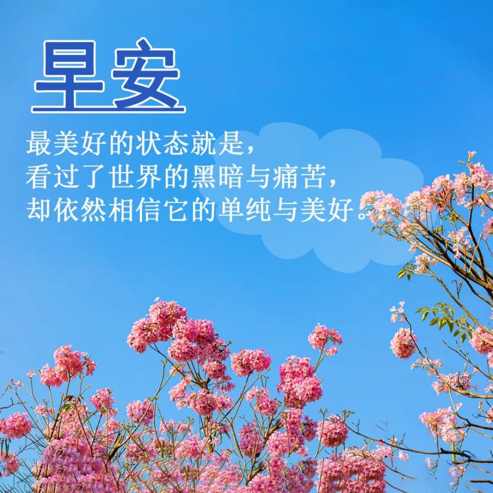 最美清晨早上好問候祝福語說說圖片早晨好特漂亮祝福圖片分享