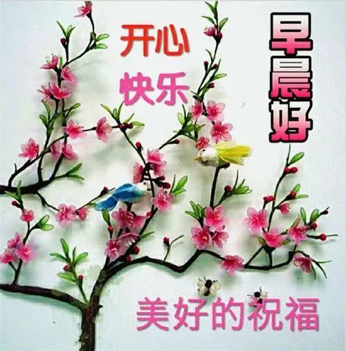 9张春天有创意的早安早上好图片带字带祝福语 2022春日暖心早上好问候