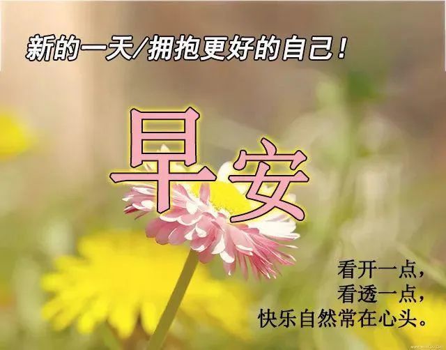 特好看漂亮的早安祝福動態圖片大全微信早安祝福問候圖片