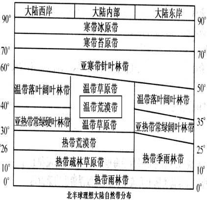 植被人口城市与地理环境的整体性和差异性考点归纳