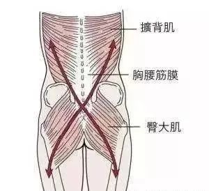 腰肌筋膜炎是個什麼東西_騰訊新聞