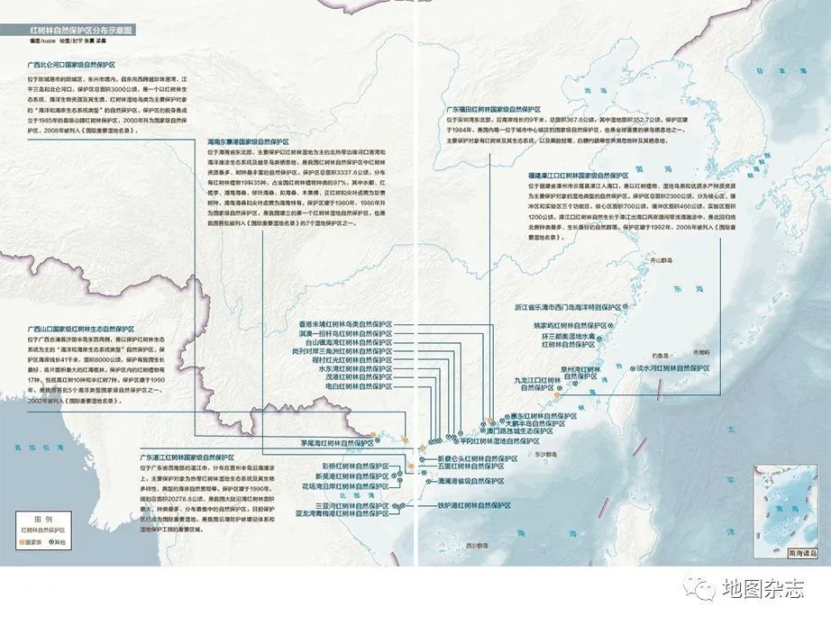 红树林自然保护区分布示意图 地图/封宇 张嘉 梁晨※图/vcg初审:卖