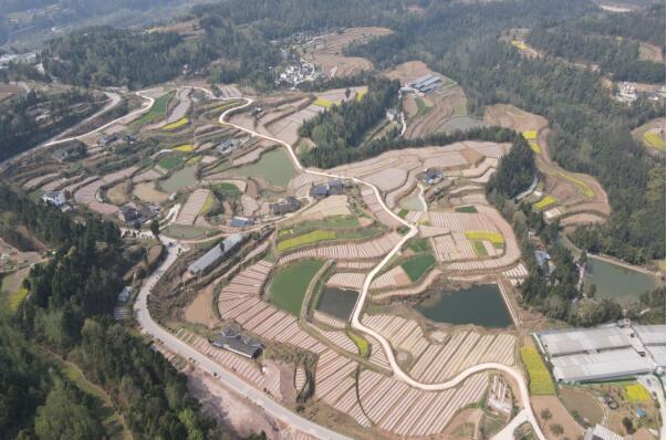 巴州区梁永镇四强化推进春耕生产