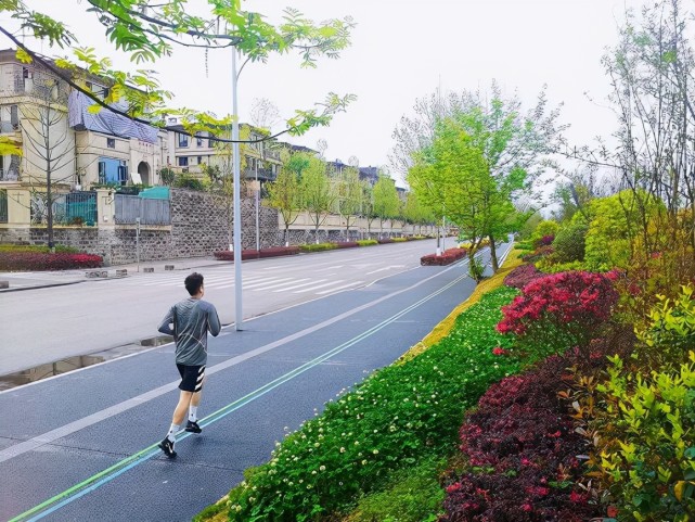 運動打卡地再添一處禮嘉山城步道部分路段已向公眾開放