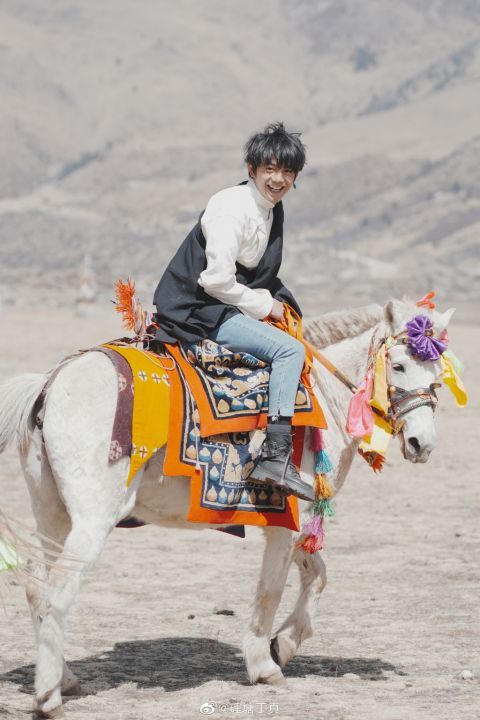 丁真骑马驰骋衣服上粘了不少毛毛网友调侃小马珍珠现中年危机