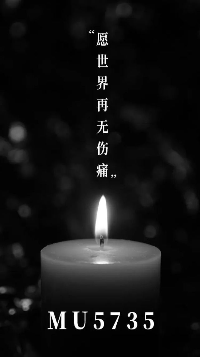 今日停更为东航mu5735默哀祈祷