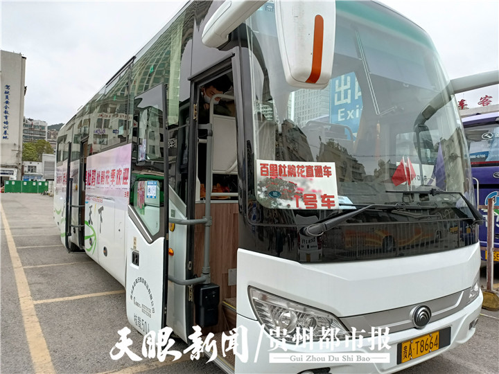 贵阳到百里杜鹃有了旅游直通车