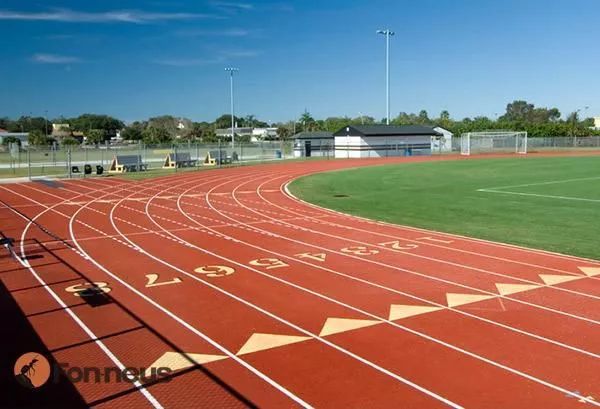 祝贺中国接力队递补获得东京奥运奖牌