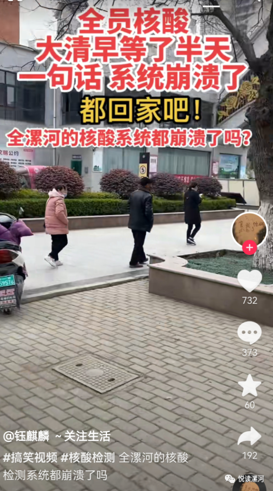 系统崩溃今天你去做核酸了吗