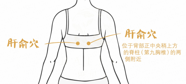 位于腿部,这个穴位能抑制肝火过旺,刮拭中封穴还有保养精血的功用.