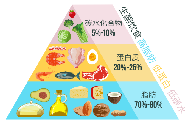 三大营养素比例图片