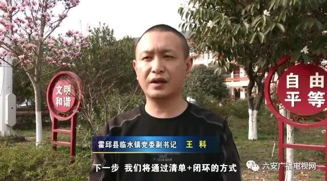 霍邱县临水镇党委副书记  王科真正把方便留给群众和企业,把麻烦留给