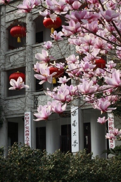 西南大学春景