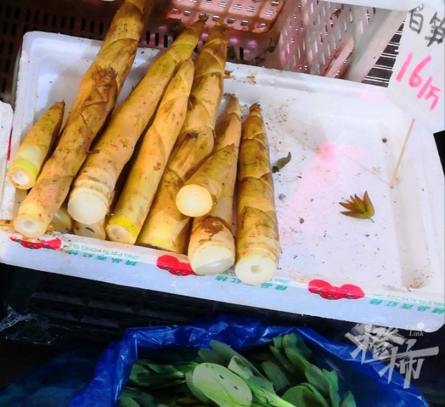 据橙友"april"爆料,笋中的"白富美"白哺鸡笋已经上市了,16元一斤!