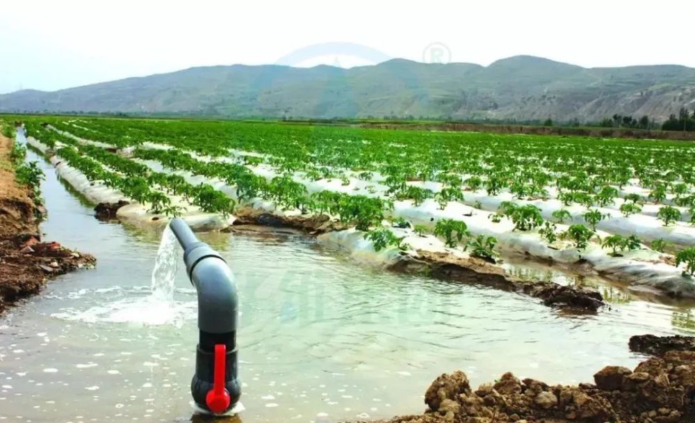 重金屬的皮革廠廢水直接排入飲用水河道)有些地方的水源地水質已發