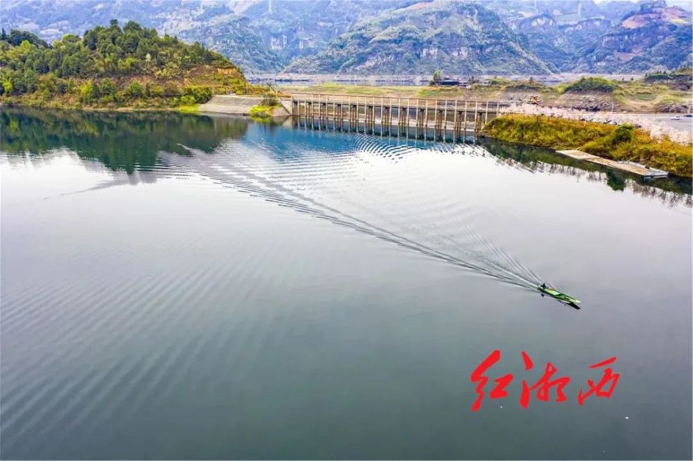 你好春天|古丈栖凤湖:韵湖引凤栖 繁樱醉游人_腾讯新闻