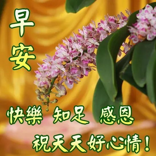 新版早安问候温馨短句配动态图片 微信最新早上好表情包动态图片