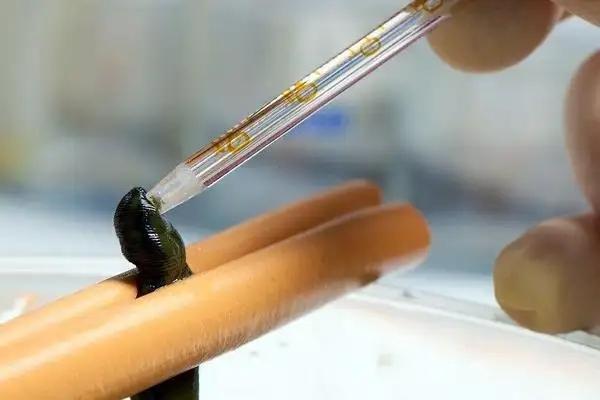 如何快速杀死水蛭?