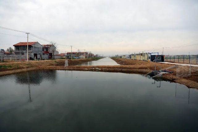 在常店镇油坊庄村北常堤口组,记者看到数台挖掘机,铲车等大型机械正在