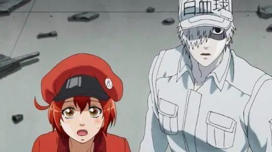 工作细胞中比魔性东北话更真实的还有