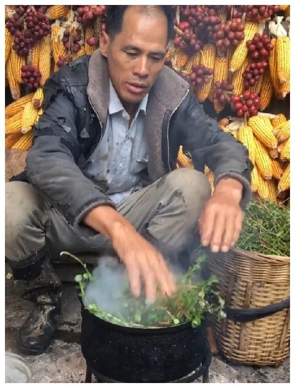 云南老杨每天做一道野味充饥走红牛屎南瓜青苔拌饭真下得去嘴