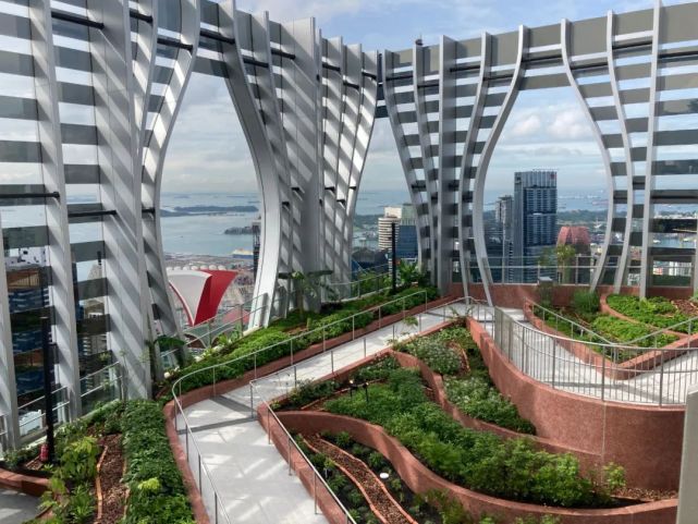 big新作|新加坡最新地标竣工,空中花园开放参观