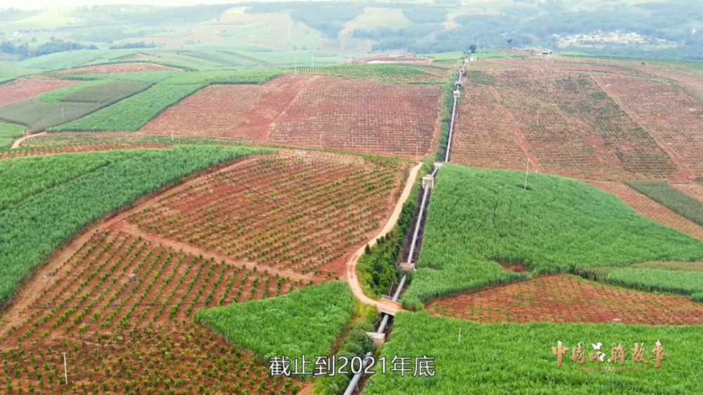 专题纪录片万众缘农业沃野热土生活如柑