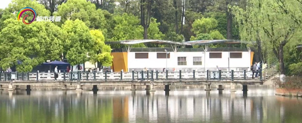 3月22日上午,翱翔于翠湖公园湖面上的红嘴鸥寥寥可数,已经没有了冬日