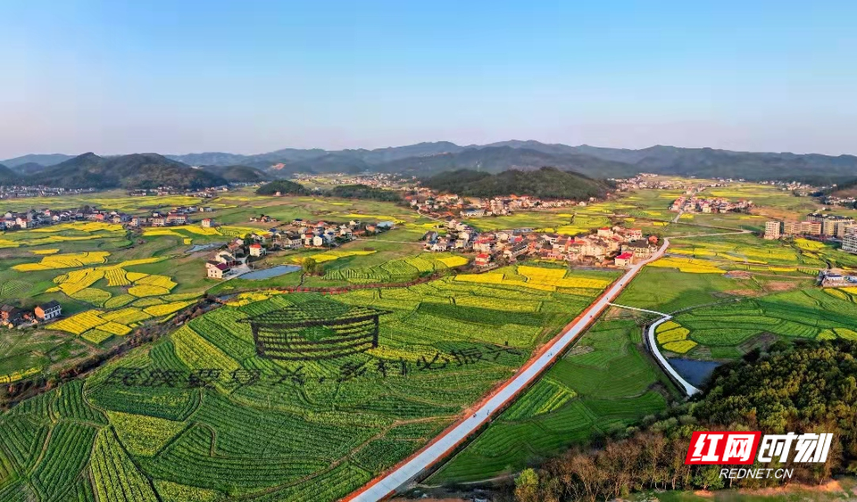 标准化新变化衡南花桥镇扎实推进城乡治理环境面貌焕然一新