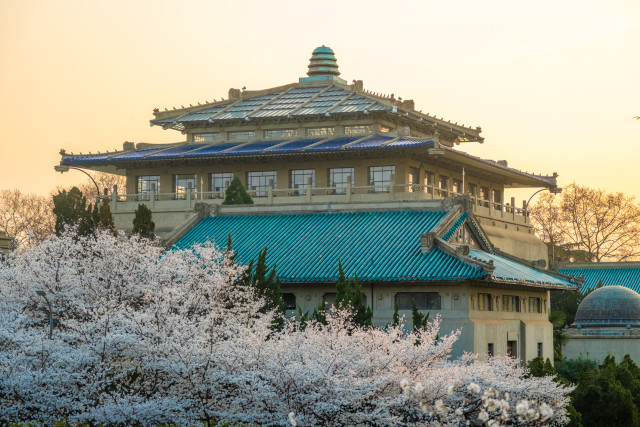 武漢大學黃昏行政樓.田春雨 攝武漢大學行政樓櫻花.