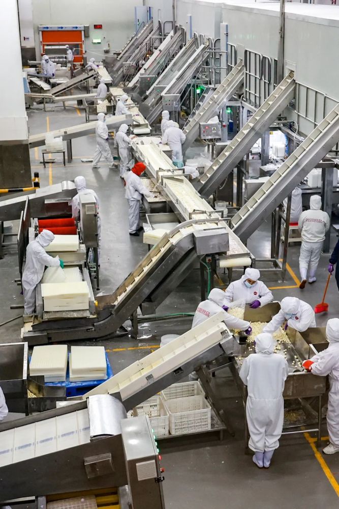 思念食品速冻食品生产线.