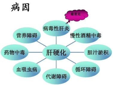 肝硬化饮食早期吃什么_肝硬化饮食早期注意事项_早期肝硬化的饮食