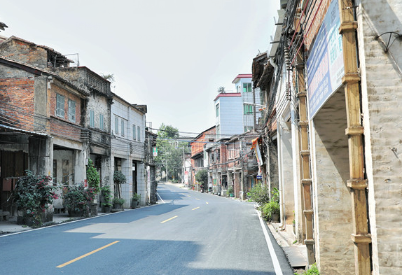 许钦松做客广州江高镇指导历史文化保护和乡村振兴工作