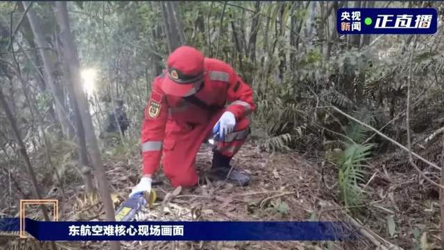 东航坠机事故4名失联乘客家属：无论如何，也要带亲人回家最近手机中文字幕大全5