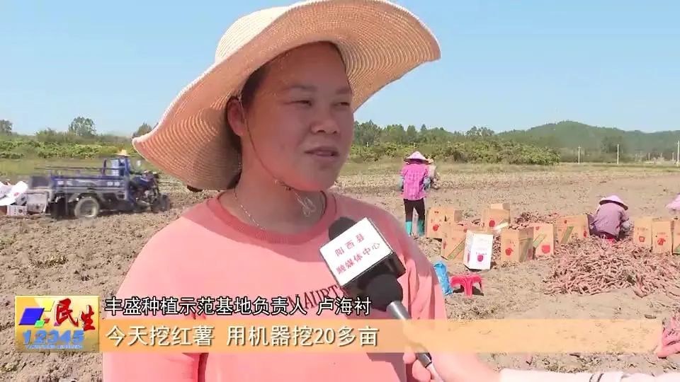 卢海衬阳西种植女能手带动乡亲致富