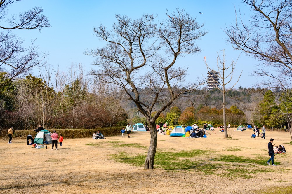 安徽蚌埠这座免费公园是春游好去处雕塑被称仙女棒