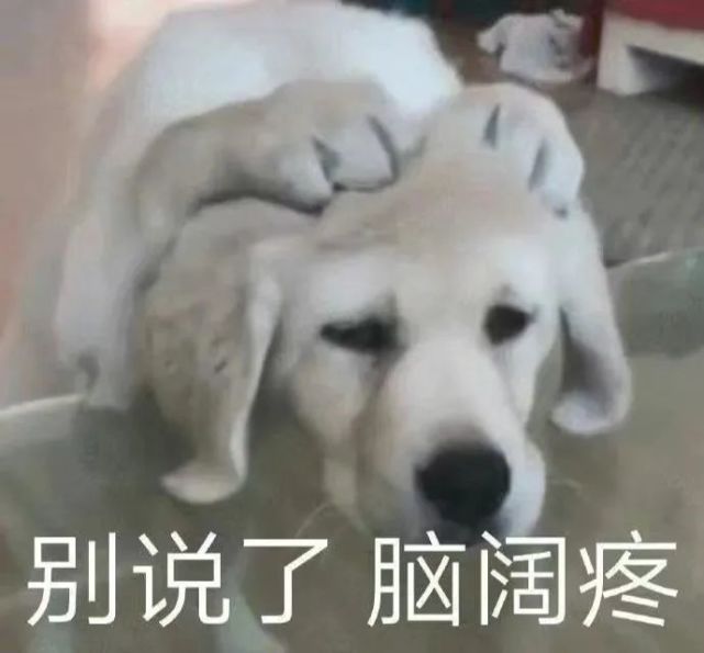 重磅！五月起中国大陆地区开放雅思线上考试