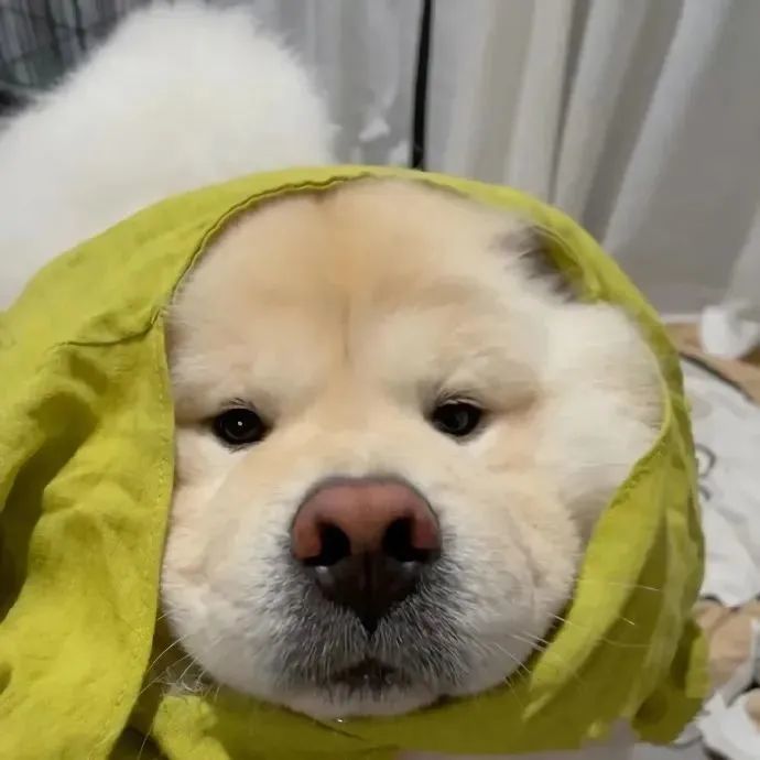 2022年单人头像适合长期不换的微信头像