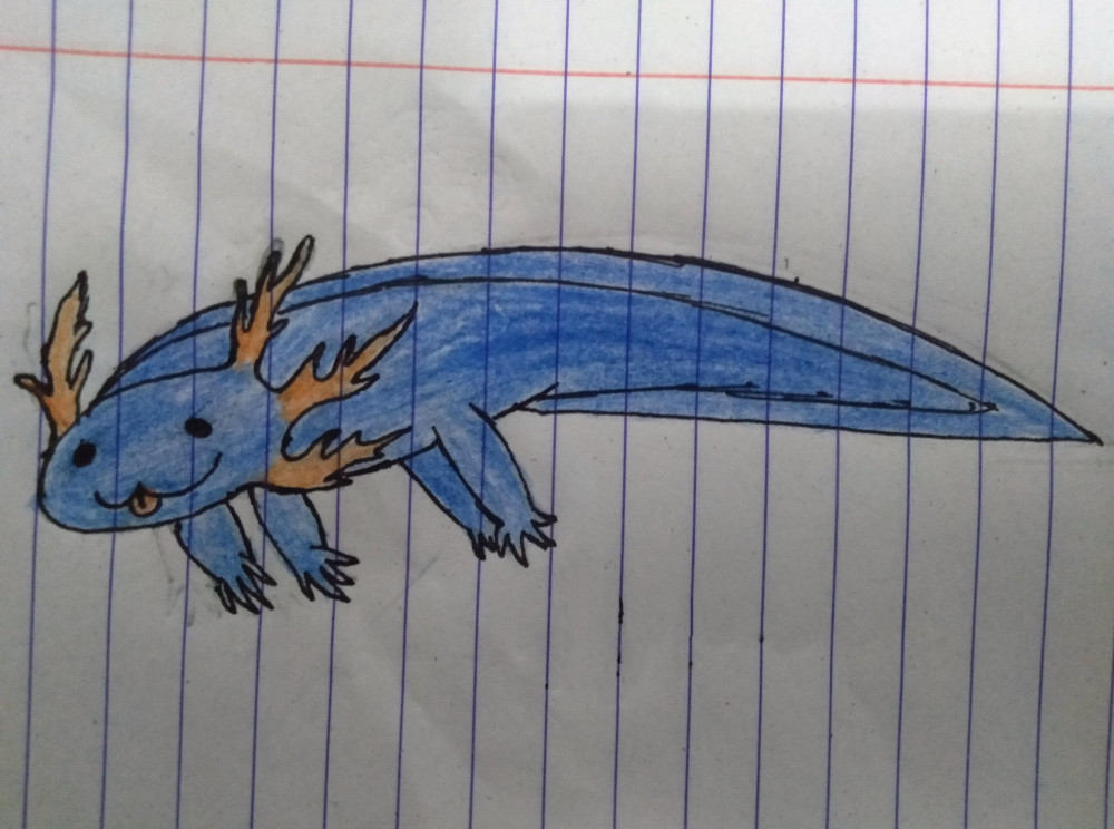 事实上几乎每个版本的《我的世界》都会塑造一个可爱的标志性生物.