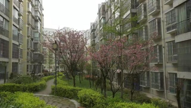 "红旗小区是我县第一个规模较大,规划设计最早,入住率最高的城市小区