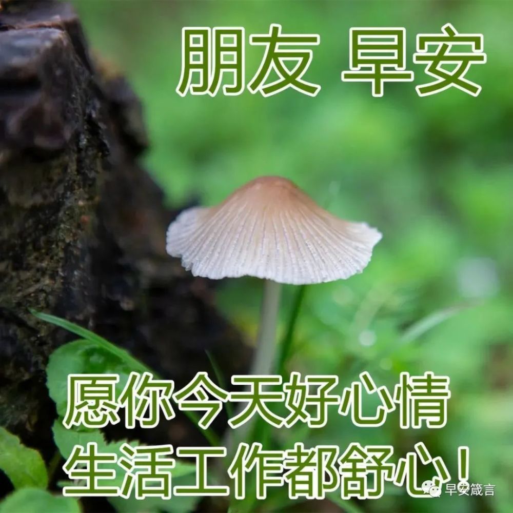 朋友圈早上好帶字風景祝福圖微信早安正能量問候語