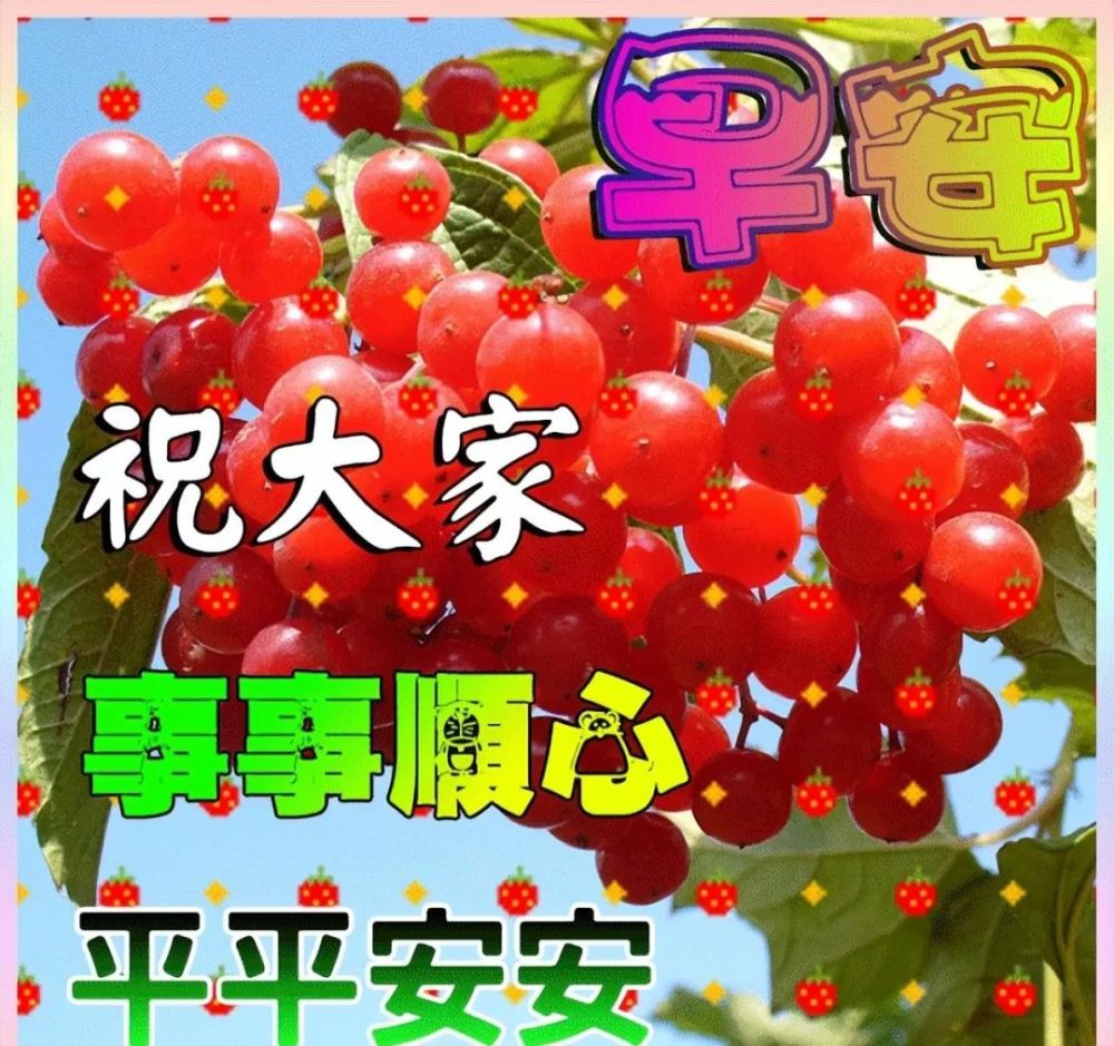 新版早上好问候语温馨动态图片大全春天早上好祝福语漂亮动图