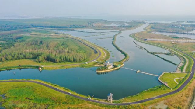 溼地|巢湖半島國家溼地公園|合肥|國家溼地公園|巢湖|環巢湖