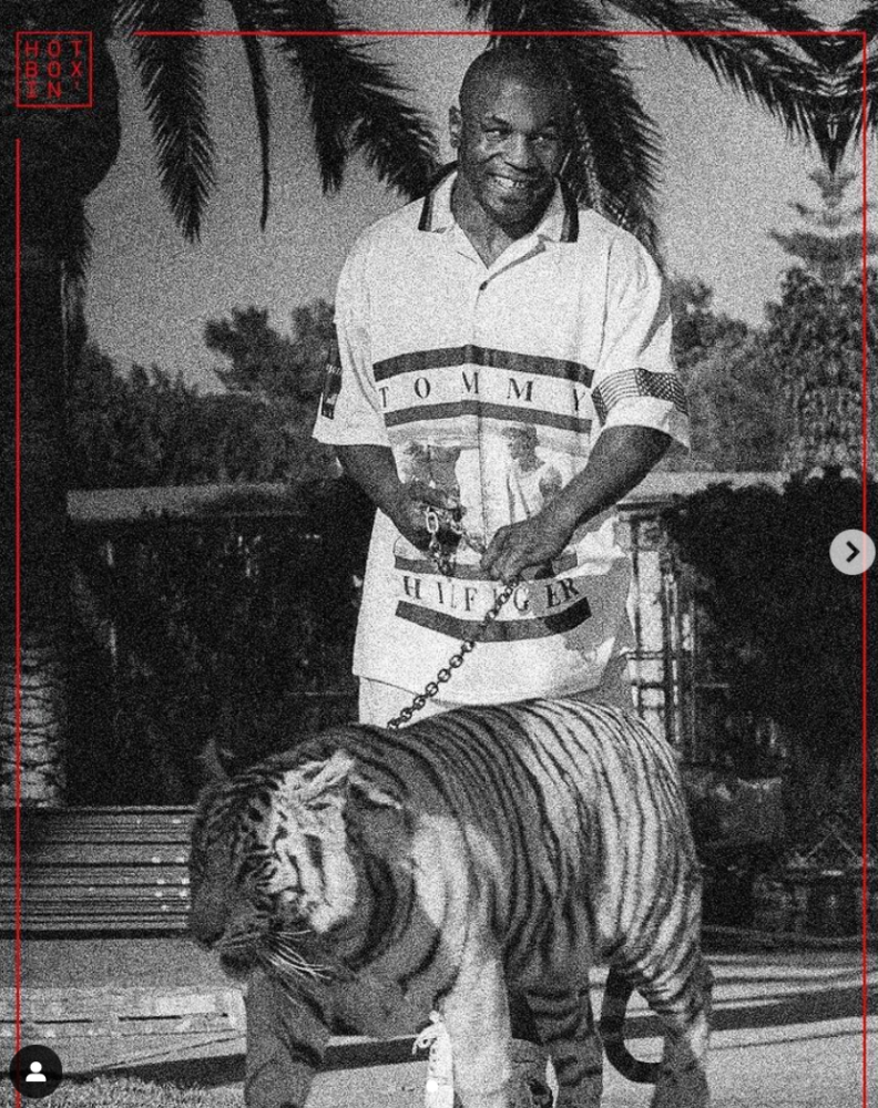 拳王泰森再晒养老虎照片心有余悸我太蠢了随时可能被杀掉