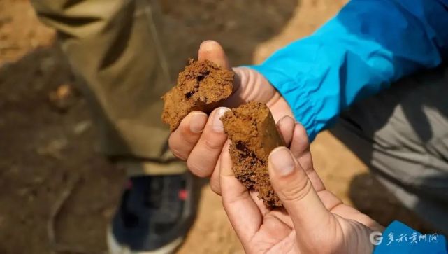 辨土认土,考古工作者也被称为"土"专家"勘探工作自今年2月启动以来