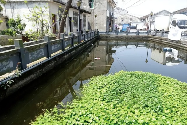 1999年温州特大空难:机身解体61人遇难,原因竟只是一颗螺丝钉