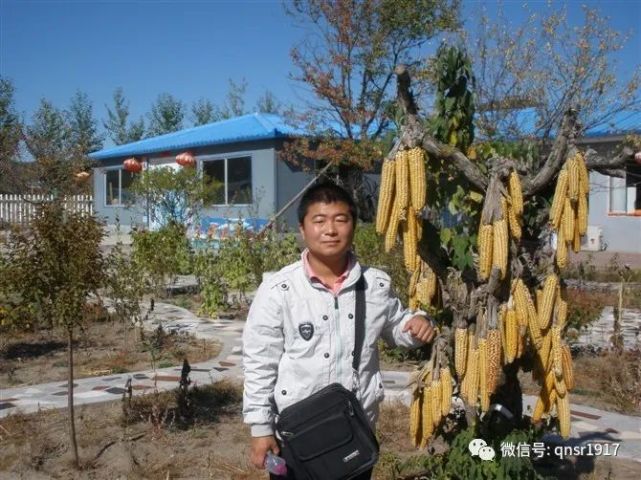 王东岭 | 一朵月光依偎在乡下的草垛