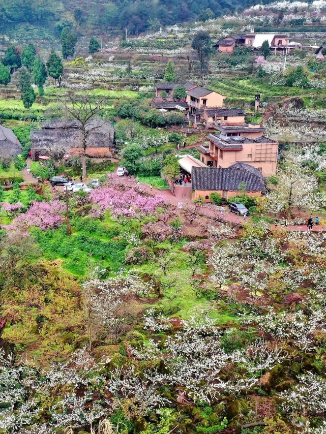 烟花三月最宜访幸福古村
