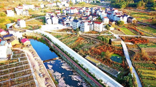 缙云县双溪口乡周扎村:村企合办农博园 助力强村富民