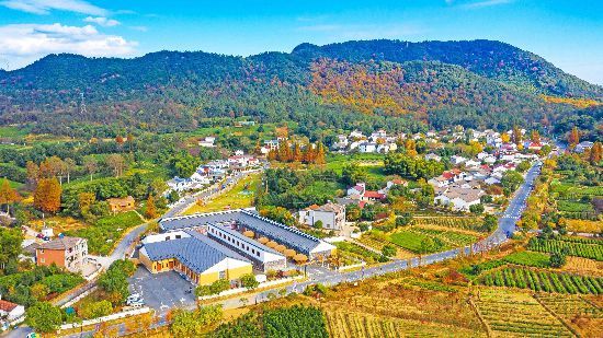 湖州打造全国首个绿色共富乡村电气化示范县